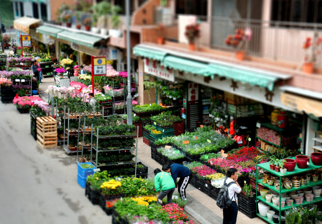 Mong-Kok-Flower-Market