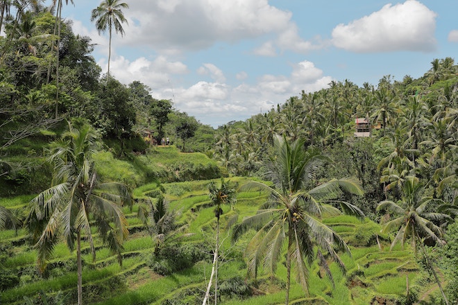 best things to do in bali 